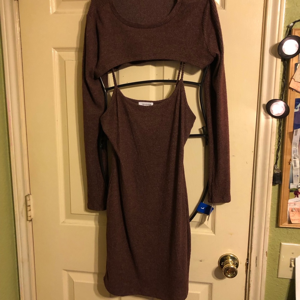 Eyeshadow Brown Cream Bodycon Long Sleeve Dress